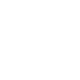 Rhinoo